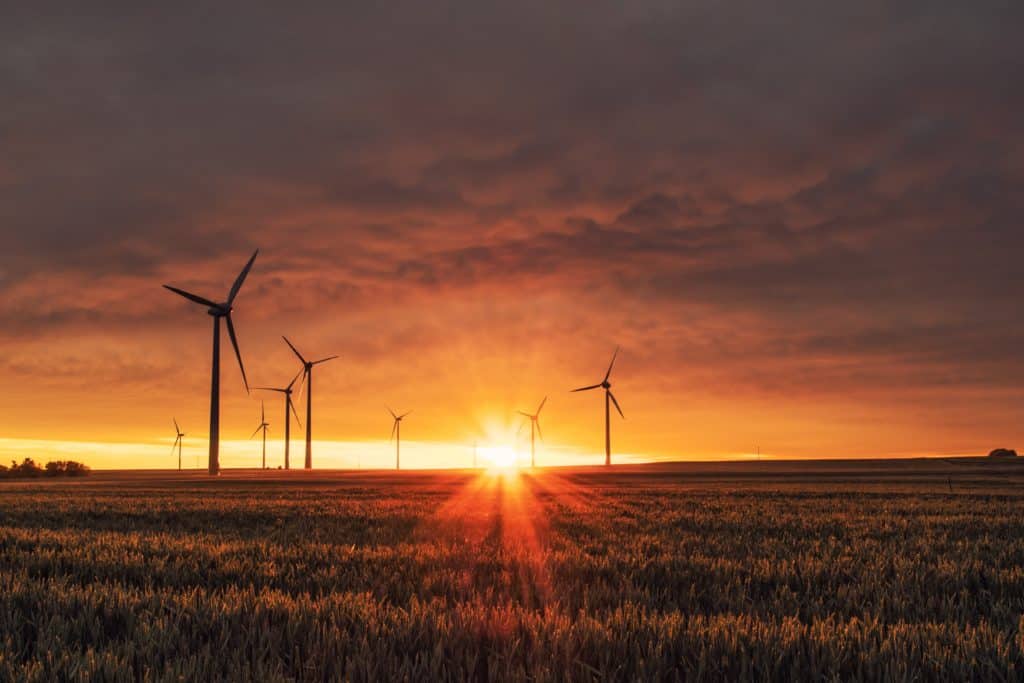 wind turbines at sunset